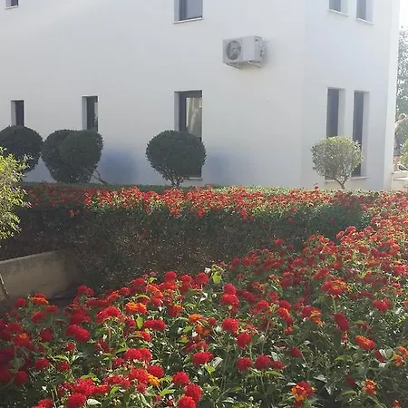Apartment Hilltop